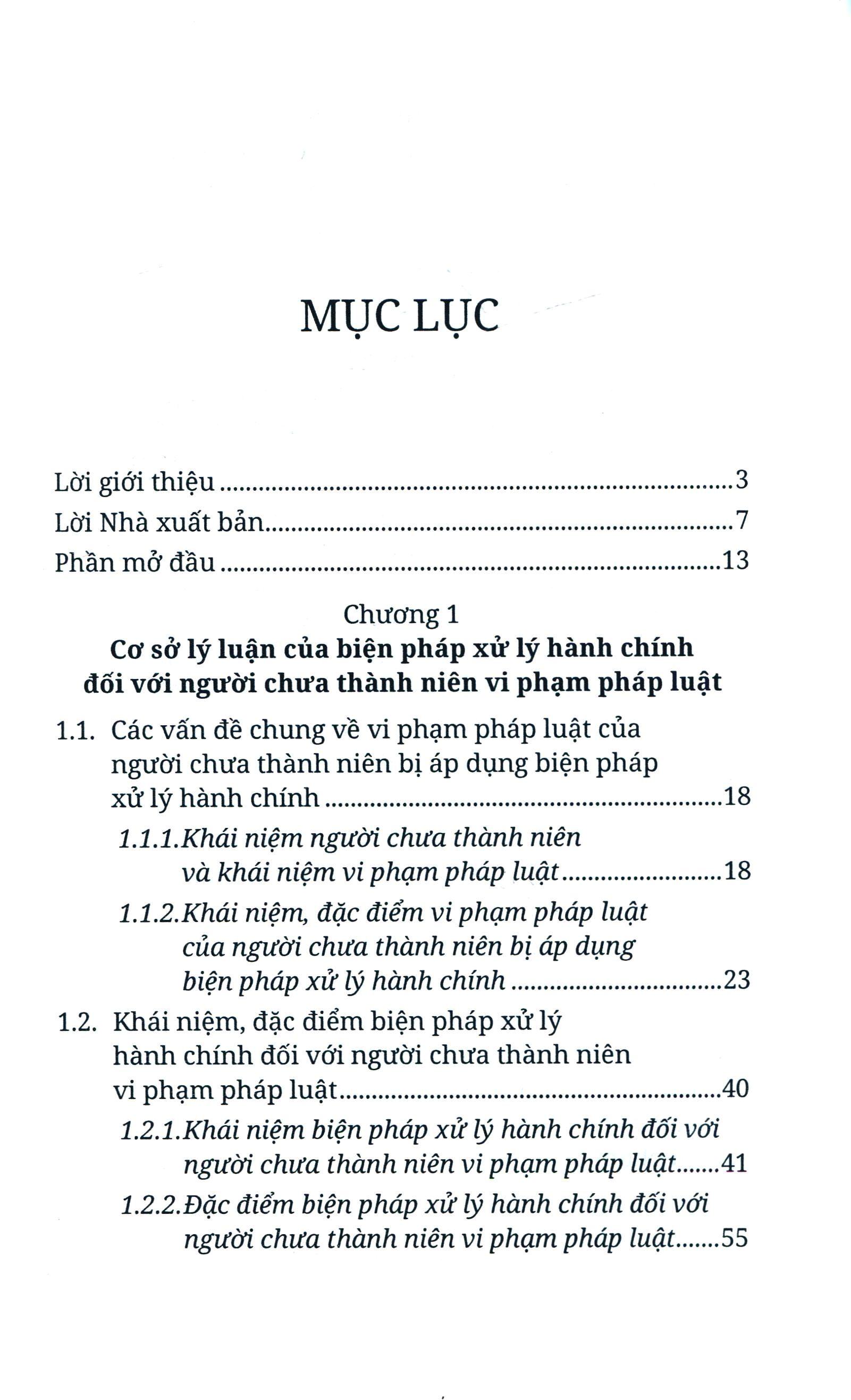 Sách Biện Pháp Xử Lý Hành Chính Đối Với Người Chưa Thành Niên Vi Phạm Pháp Luật | BigBuy360 - bigbuy360.vn