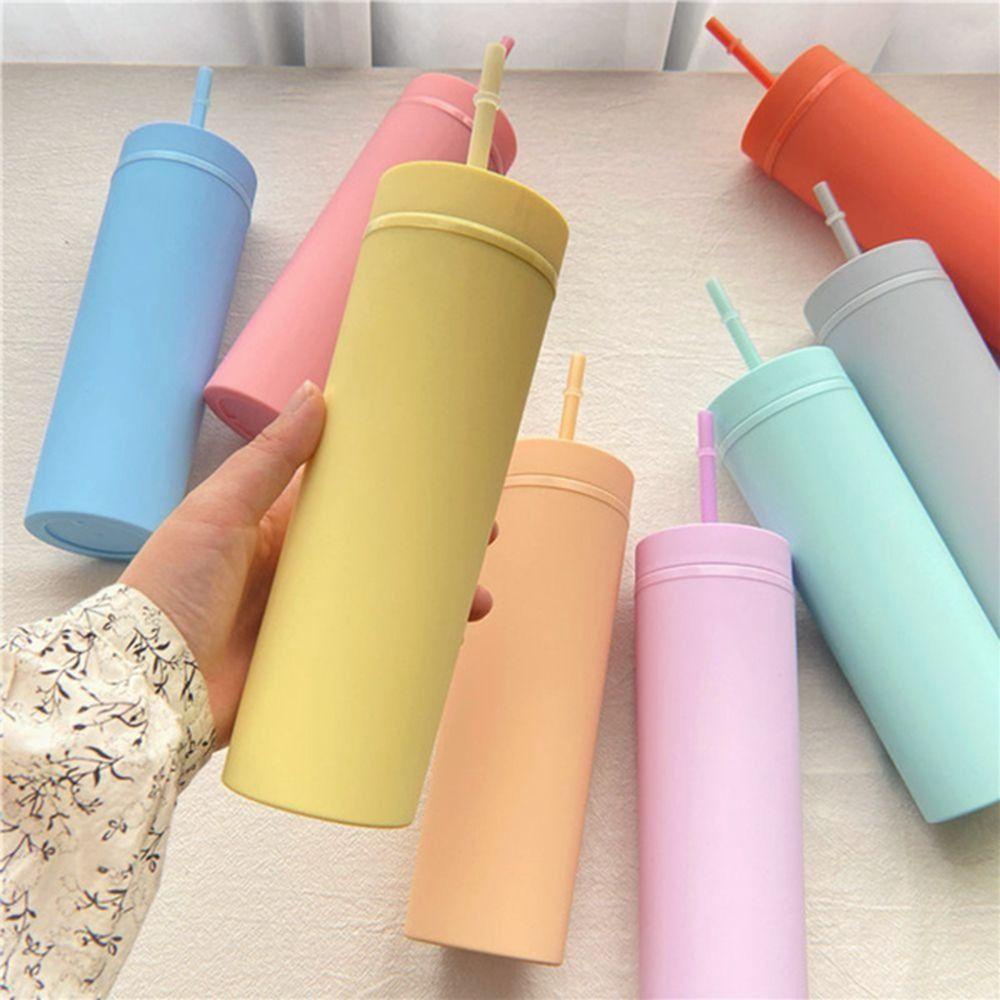 Bình Nước Nhựa Hai Lớp Kèm Ống Hút 16Oz Thiết Kế Thanh Lịch