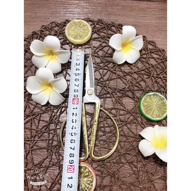 KÉO CÁN RỒNG CẮT SIÊU SẮC SIÊU BỀN