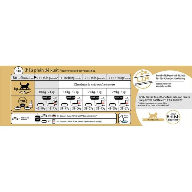 Royal Canin British Shorthair Adult 2kg hạt khô thức ăn cho mèo anh lông ngắn lớn hơn 12 tháng tuổi sản xuất tại pháp