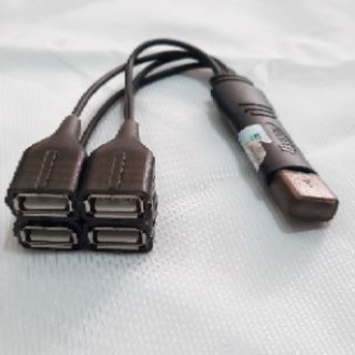 Hub chia 4 cổng USB dạng dây Dtech
