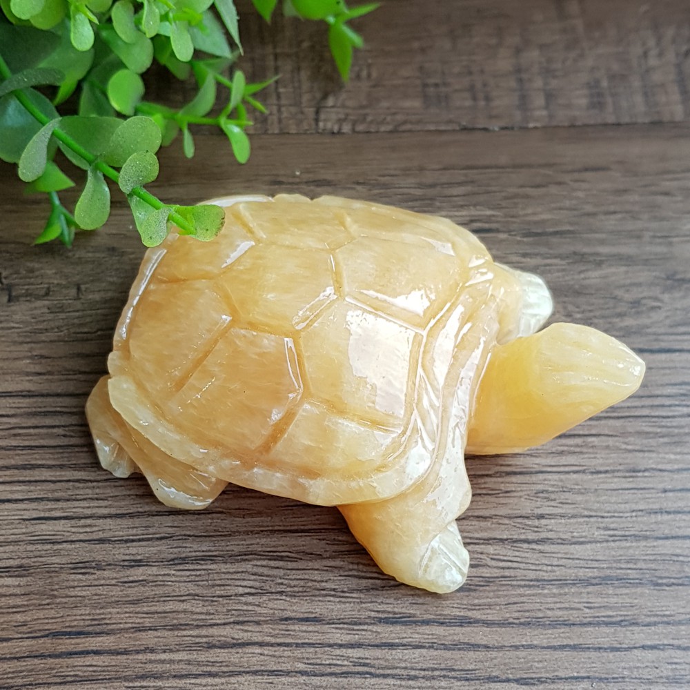 Cụ Rùa bằng đá tự nhiên size 8cm