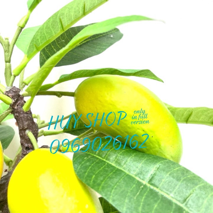 Hoa trái giả - Chậu cây trái XOÀI nhân tạo trang trí nhà cửa