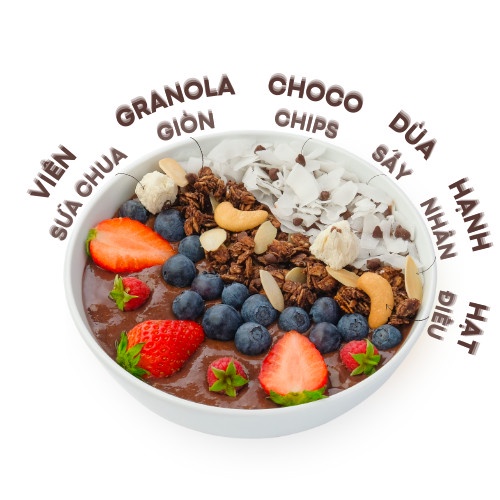 Ngũ Cốc Granola Chocola Ăn Sáng Giảm Cân Mix Sữa Chua Trái Cây Hoa Quả (300G)