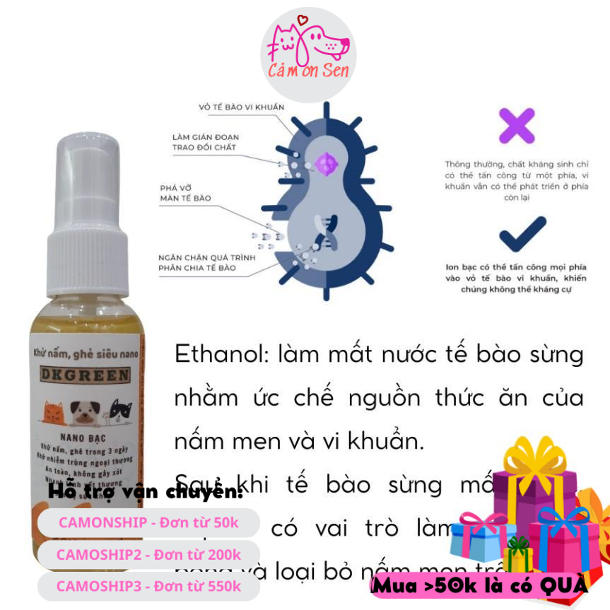 Xịt siêu nano DKGREEN khử nấm ghẻ diệt virut vi khuẩn cho chó mèo - 50ml ECOPETS