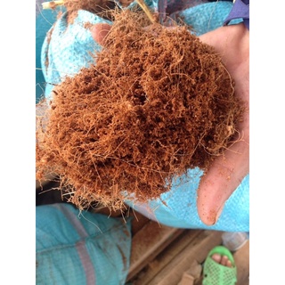 1 kg xơ dừa đã qua xử lý