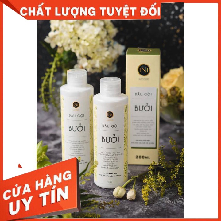 Combo 2 Dầu gội bưởi Nga Hoàng [chính hãng]-Dầu gội bưởi ngăn rụng tóc, hết gàu, hết ngứa, phục hồi chân tóc yếu, hư tổn | BigBuy360 - bigbuy360.vn
