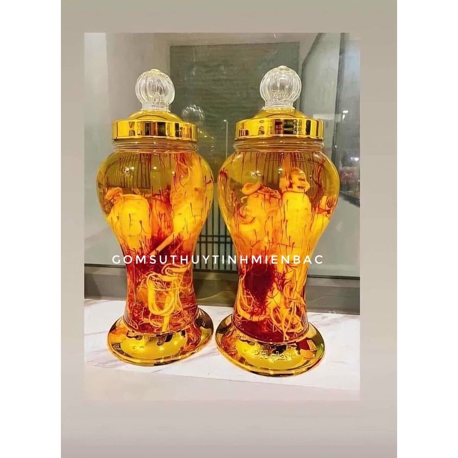 Bình ngâm rượu sâm, đông trùng thủy tinh 1 lít