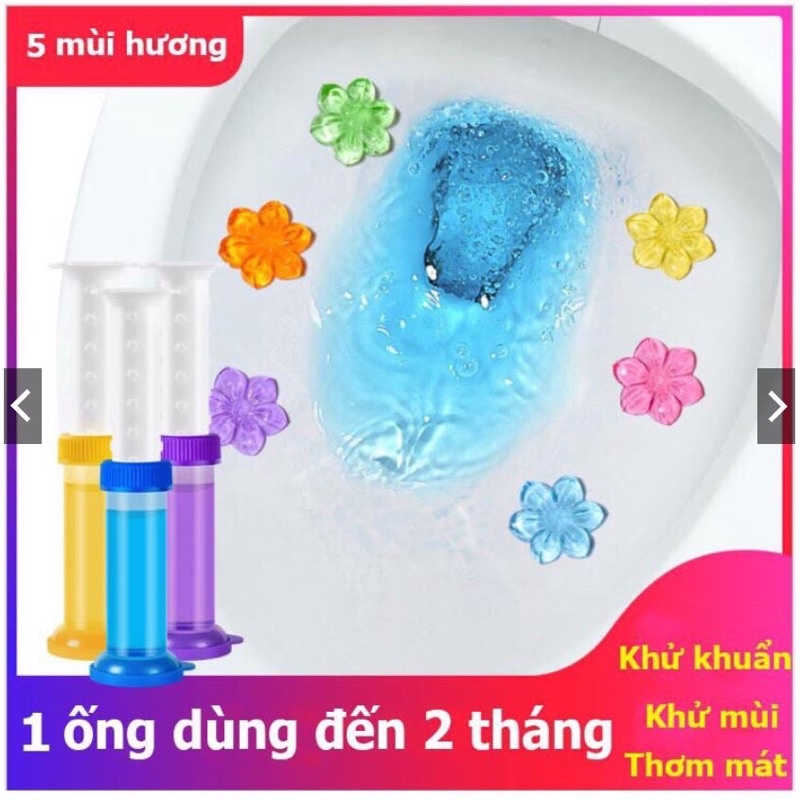 Gel Khử Mùi Bồn Cầu Diệt Vi Khuẩn Toilet, Gel Dính Bồn Cầu Dạng Thạch Hình Bông Hoa Với 5 Mùi Thơm.