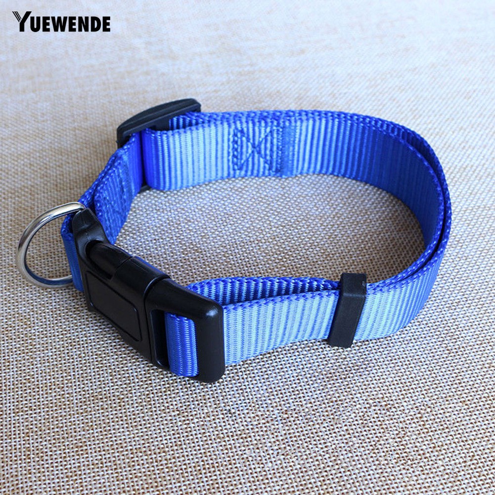 Vòng cổ an toàn đáng yêu dành cho thú cưng