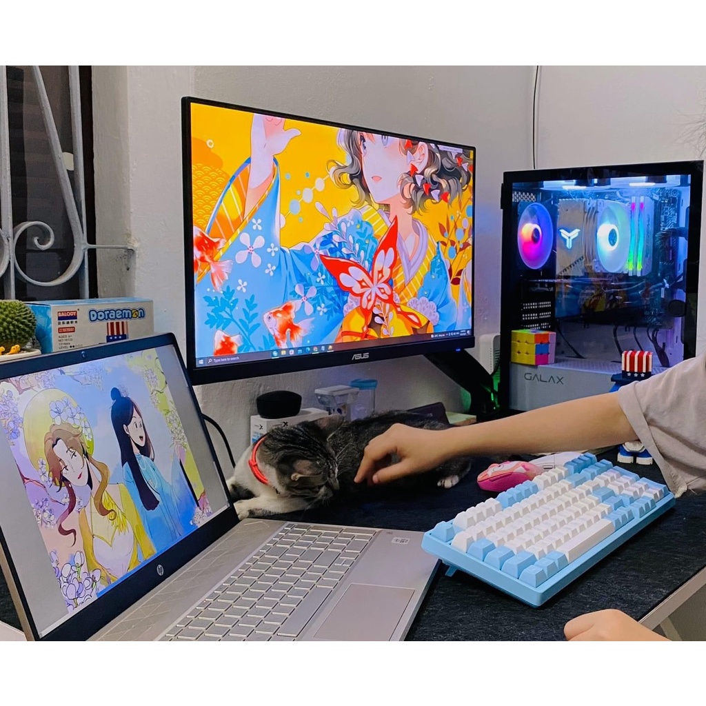 Bàn phím cơ AKKO 3098B Multi-modes Doll of the Princess