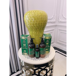Tinh Dầu Bưởi Trị Rụng Tóc