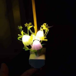Đèn ngủ hình nấm