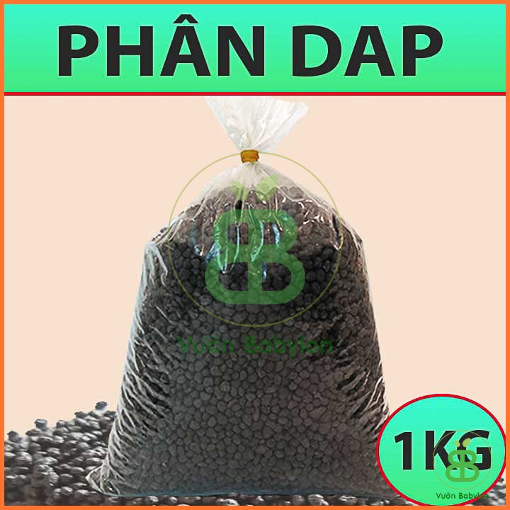 Phân Bón DAP 1KG Giúp Cây Ra Rễ, Đâm Chồi Mạnh