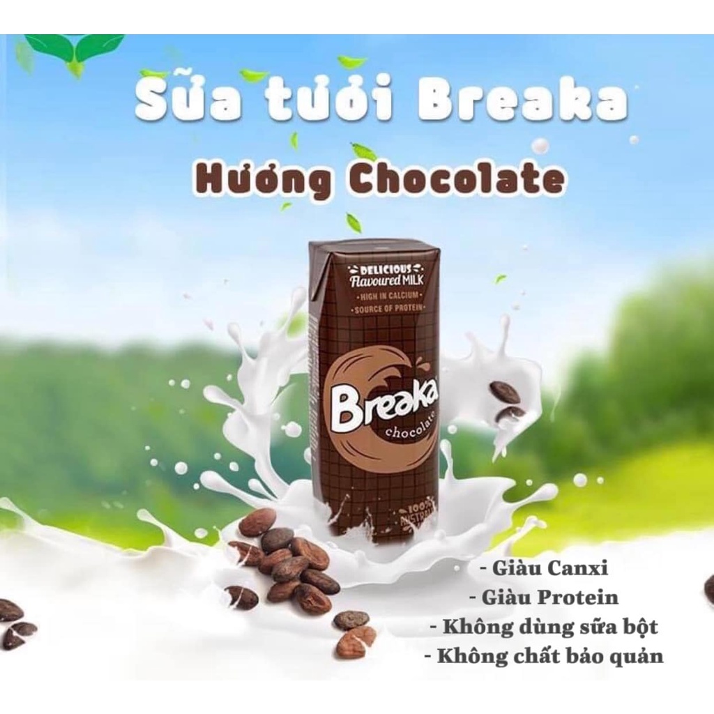 Sữa tươi breaka/pauls/ A2 các vị 1 thung 24h