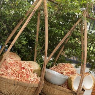 sỉ 5kg mực hấp thái