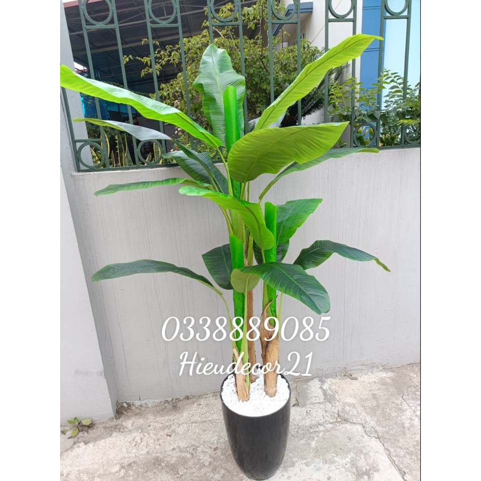 Cây giả - Cây chuối quê giả cảnh 1,7m 3 khóm giống thật 99% derco trang trí siêu xinh