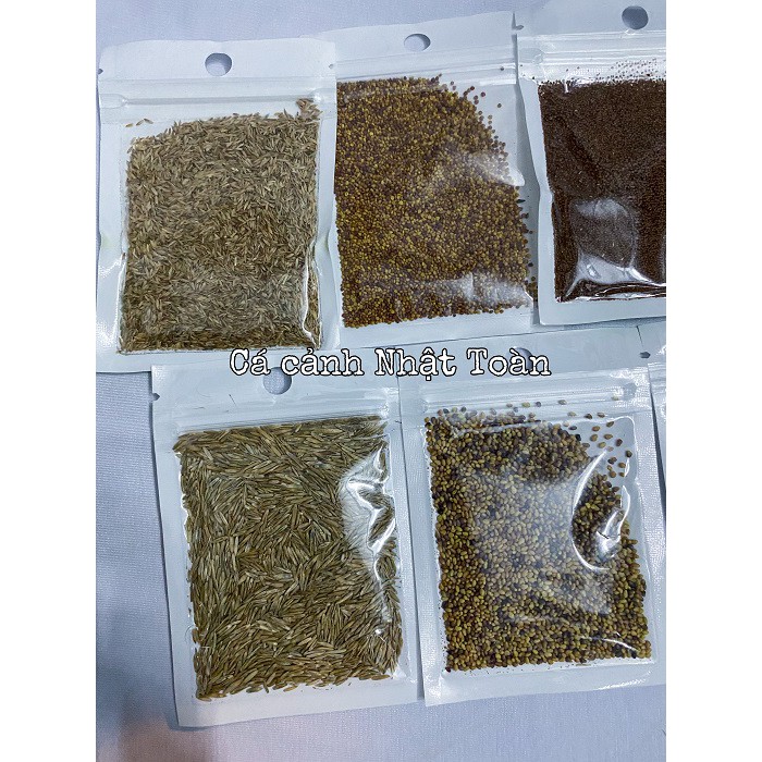 COMBO ĐỦ 7 LOẠI HẠT GIỐNG THỦY SINH HỒ CÁ