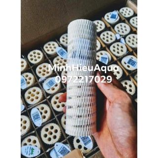 Vật liệu lọc bể cá - Sứ lọc củ sen Mountain Tree - Sứ xoắn Mountain Tree Root 1