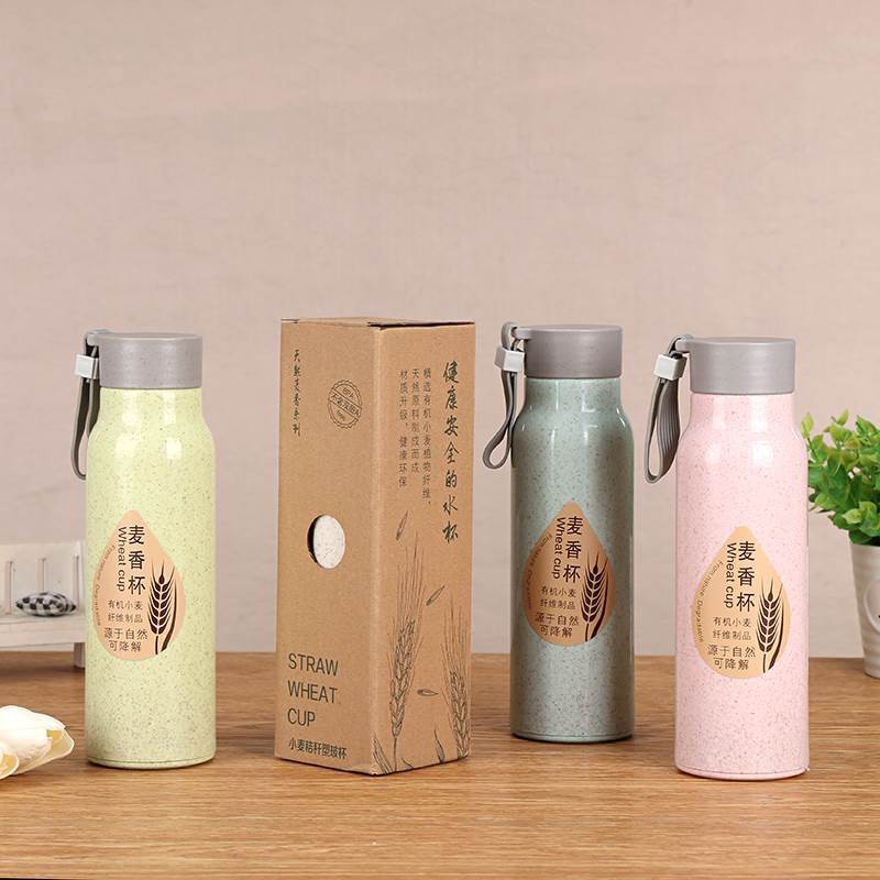 Bình xương rồng 450ml chắc chắn giữ nhiệt