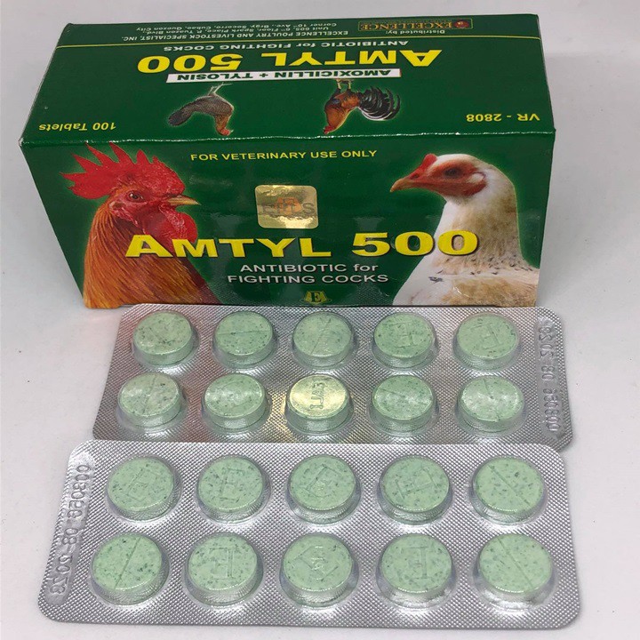 AMTYL 500 CHO GÀ ĐÁ - HỘP X 100 Viên Và Bán Lẻ