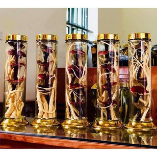 Bình ngâm rượu thủy tinh trụ 4.8l Phú Hòa (Có van - Không van)