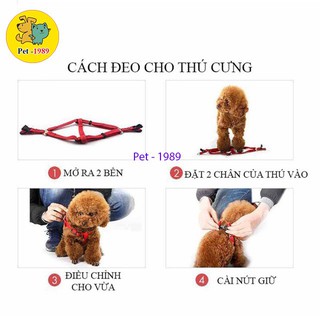 Dây dắt + yếm vải cho thú cưng chó mèo