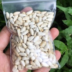 500g Hạt Kham Trắng Giàu Dinh Dưỡng Cho Vẹt-Chim-Gà-Hamster-Rat