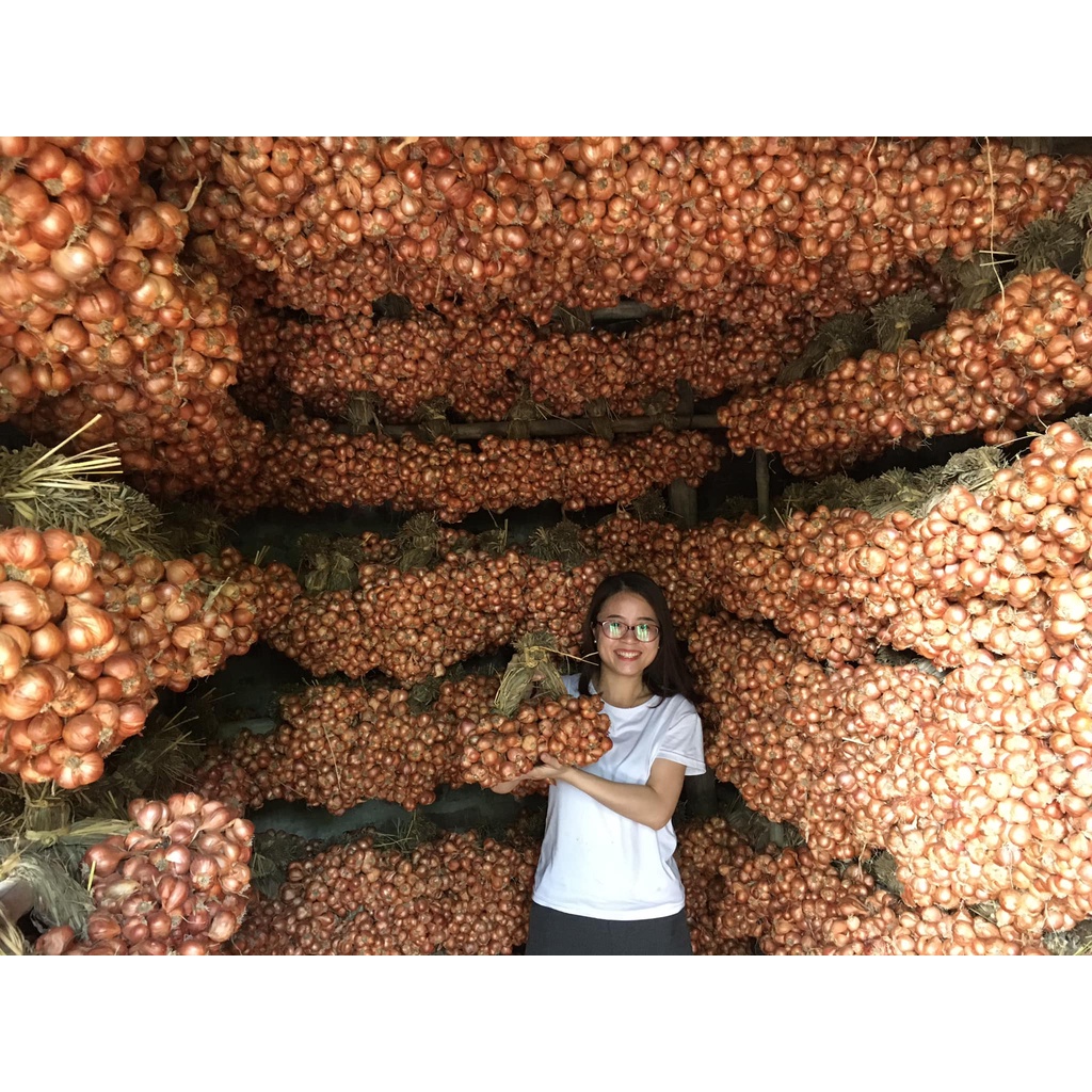 Hành Ta Kinh Môn Giá Sỉ, Hành Loại 1 Củ To, Đặc Sản Hải Dương