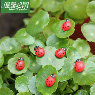 Con bọ nhỏ làm tiểu cảnh