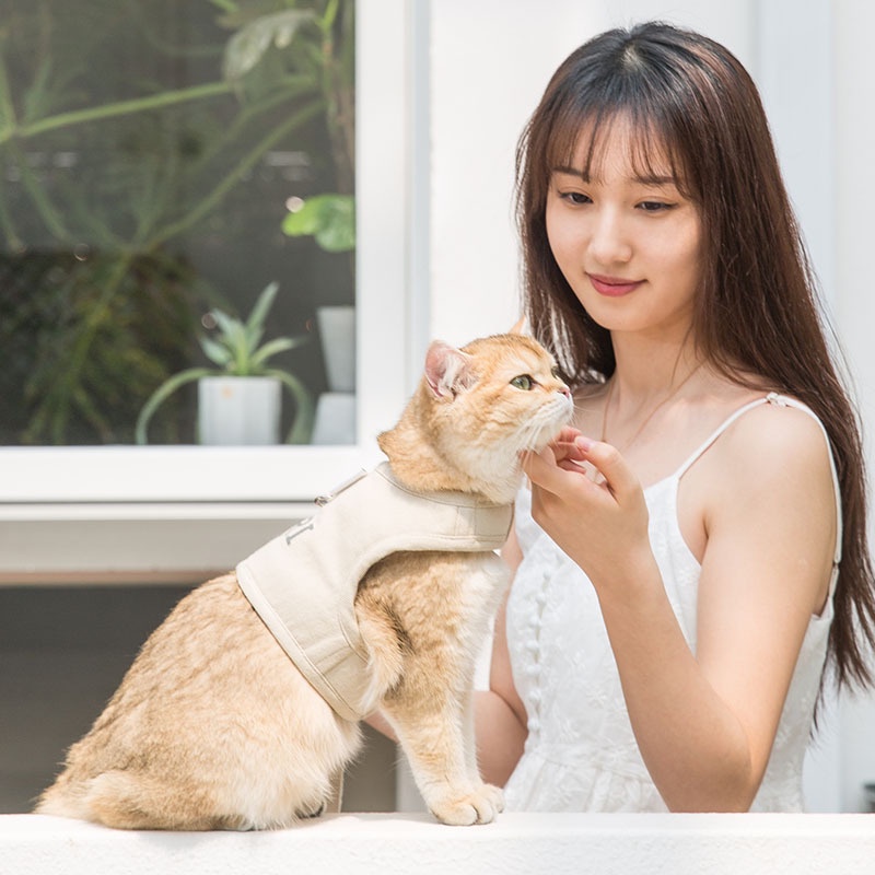 Bộ dây xích thoáng khí cho thú cưng mùa hè, dây xích dắt chó đi dạo, dây xích cho mèo