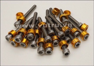 Bộ ốc máy lông đền màu ( các loại xe )