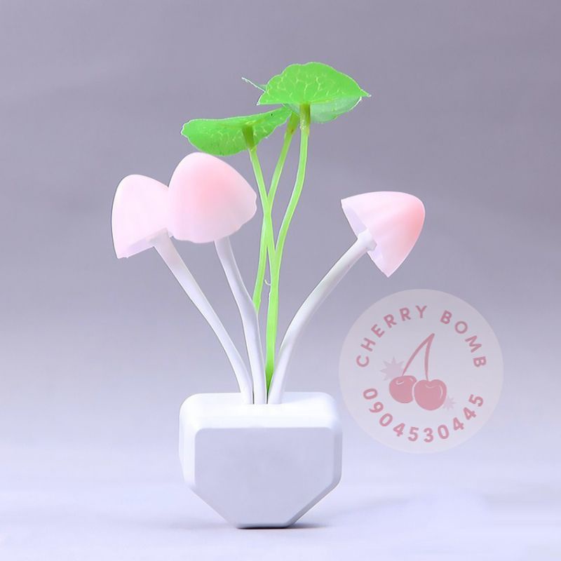 Đèn Ngủ Cảm Ứng Ánh Sáng, Tự Động Bật Vào Buổi Tối - Đa Dạng Kiểu Dáng - Bảo Hành 1 Tháng Giá rẻ