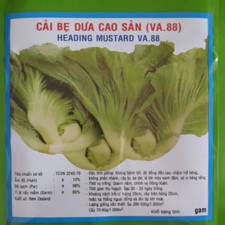 Hạt giống cải bẹ dưa 20gram