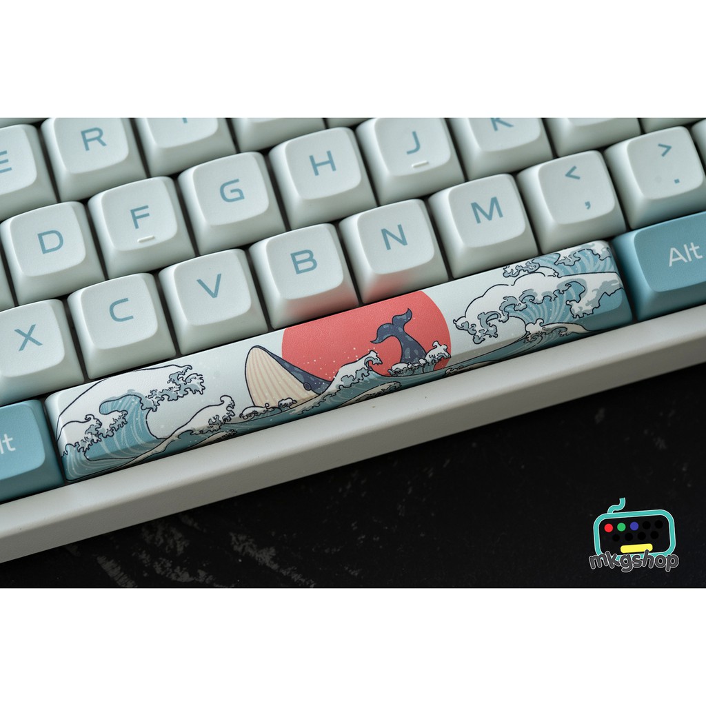 Nút bàn phím keycap Coral Sea XDA PBT Filco, Leopold, IKBC,... | BigBuy360 - bigbuy360.vn