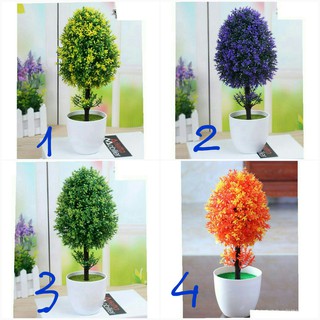 Combo 5 chậu hoa tú cầu trang trí ib để chọn màu