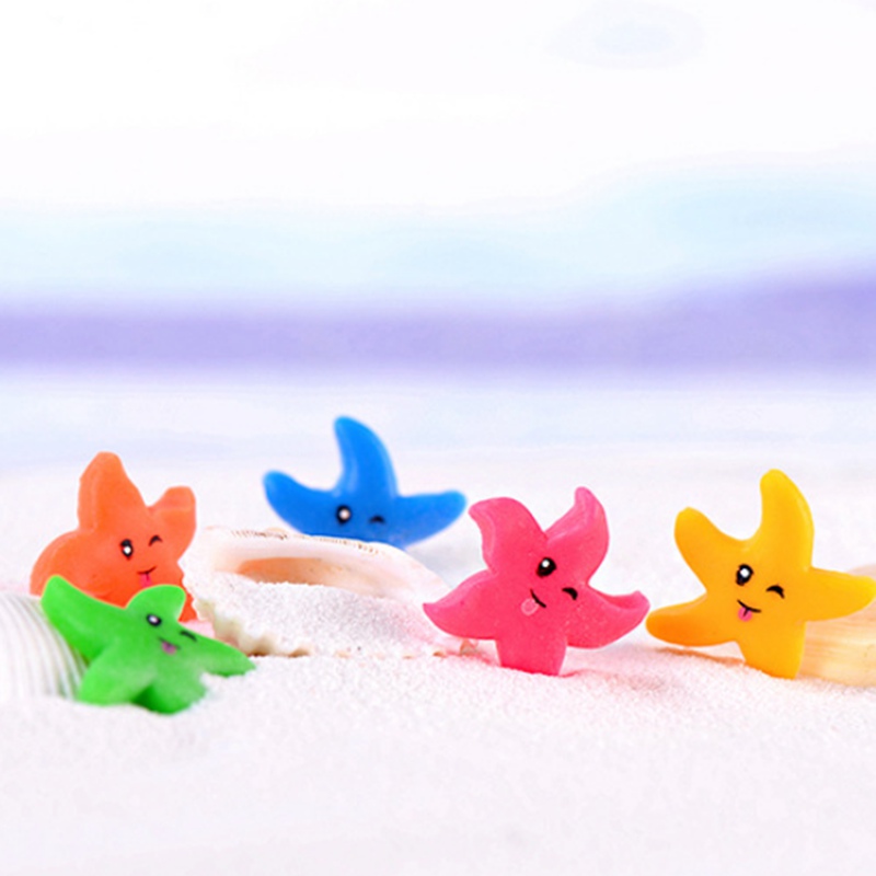 Set 5 Mô Hình Sao Biển Mini Trang Trí Sân Vườn