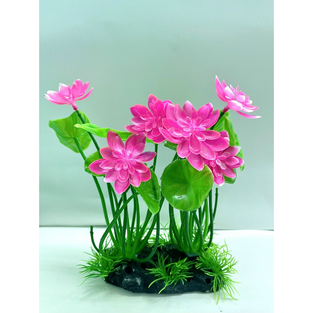 Cây sen nhựa trang trí bể cá - Cây thủy sinh