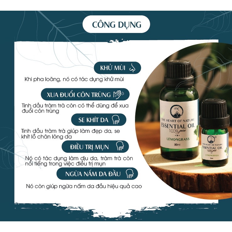 Combo 2 tinh dầu Sả chanh + Tràm trà PK 10ml/chai