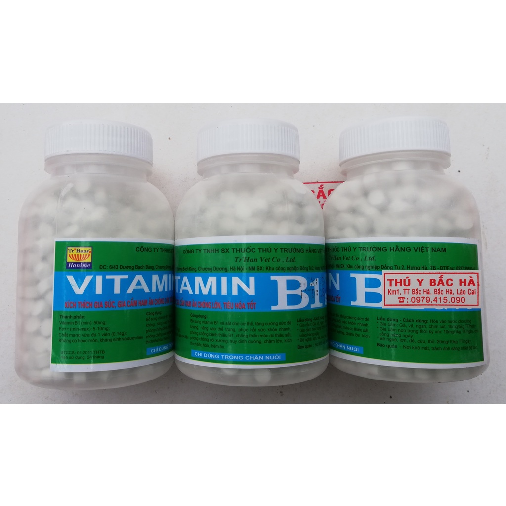 5 lọ VITAMIN B1 và Fe 1200 viên 200g KÍCH THÍCH GIA SÚC, GIA CẦM, CHÓ MÈO HAM ĂN CHÓNG LỚN, TIÊU HÓA TỐT