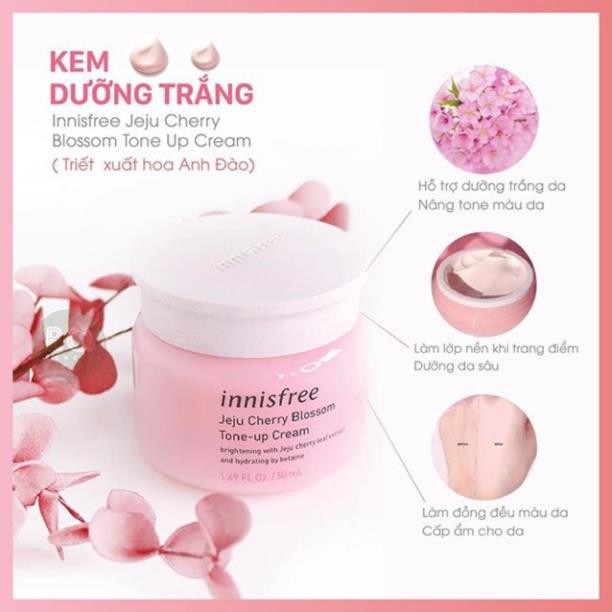 {XẢ KHO SỈ} Tách Lẻ Bộ Dưỡng Trắng Da Hoa Anh ĐàoInnisfree Jeju Cherry Blossom Set