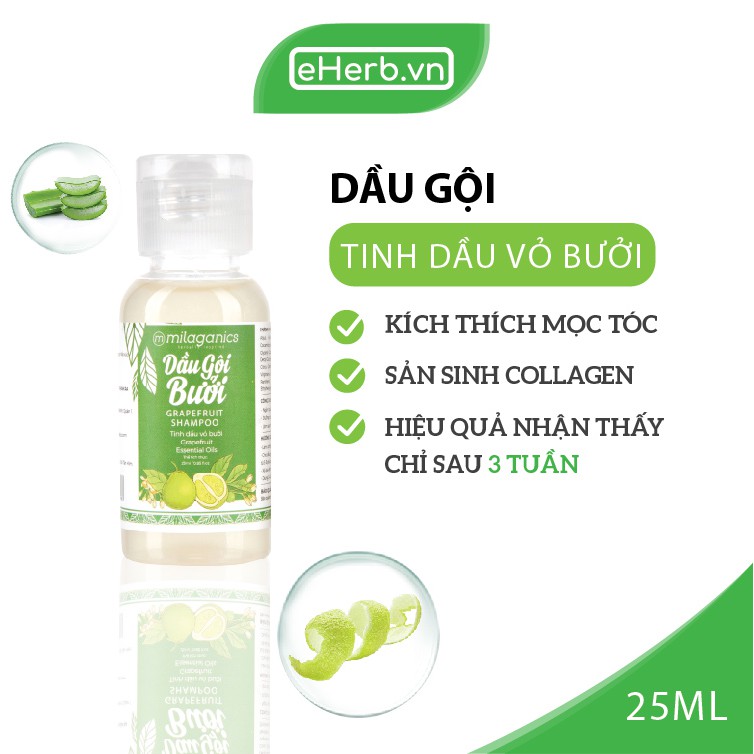 Combo Dầu Gội & Dầu Xả Bưởi Ngừa Rụng & Kích Thích Mọc Tóc Từ Tinh Dầu Bưởi Nguyên Chất MILAGANICS (500ml/ Chai)