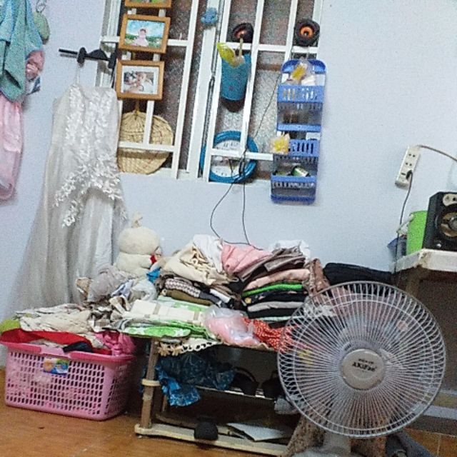 Hang si nguyên ha mi