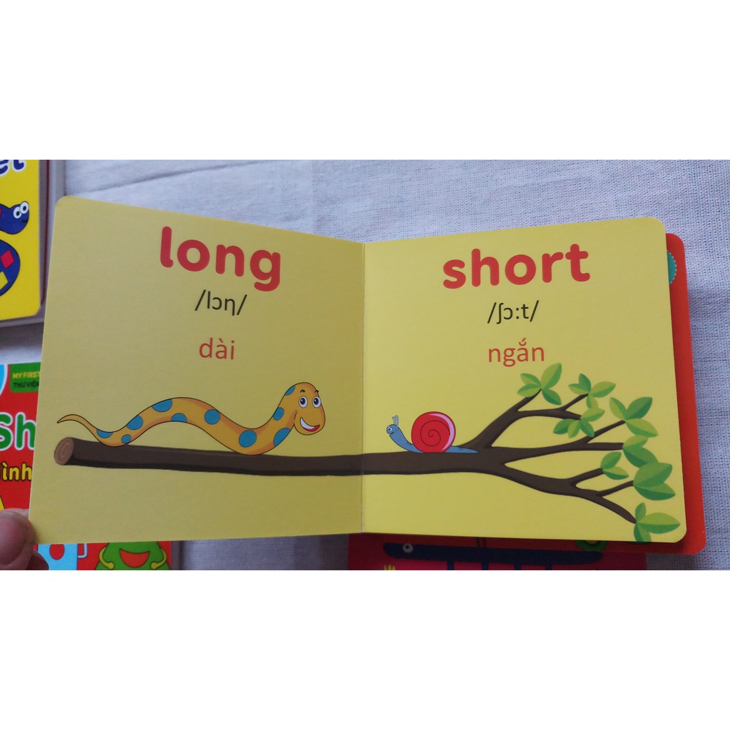 Sách Giấy Cứng Song Ngữ - Thư Viện Hình Ảnh Đầu Tiên Cho Bé - Trọn Bộ 8 Cuốn | BigBuy360 - bigbuy360.vn