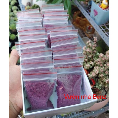Thuốc tím diệt rệp sáp, bọ phấn trắng, bọ rùa,.. cho SEN ĐÁ, XƯƠNG RỒNG