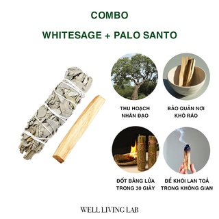 [Hoàn Xu Xtra] Combo Gỗ trắc xanh + Xô thơm thanh tẩy nhà cửa