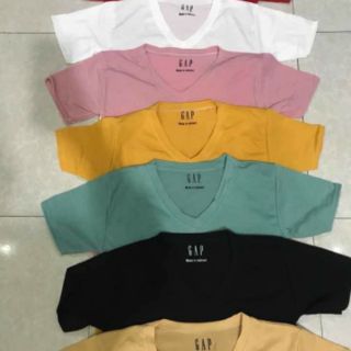 Áo gap cổ tim đủ màu hình thật