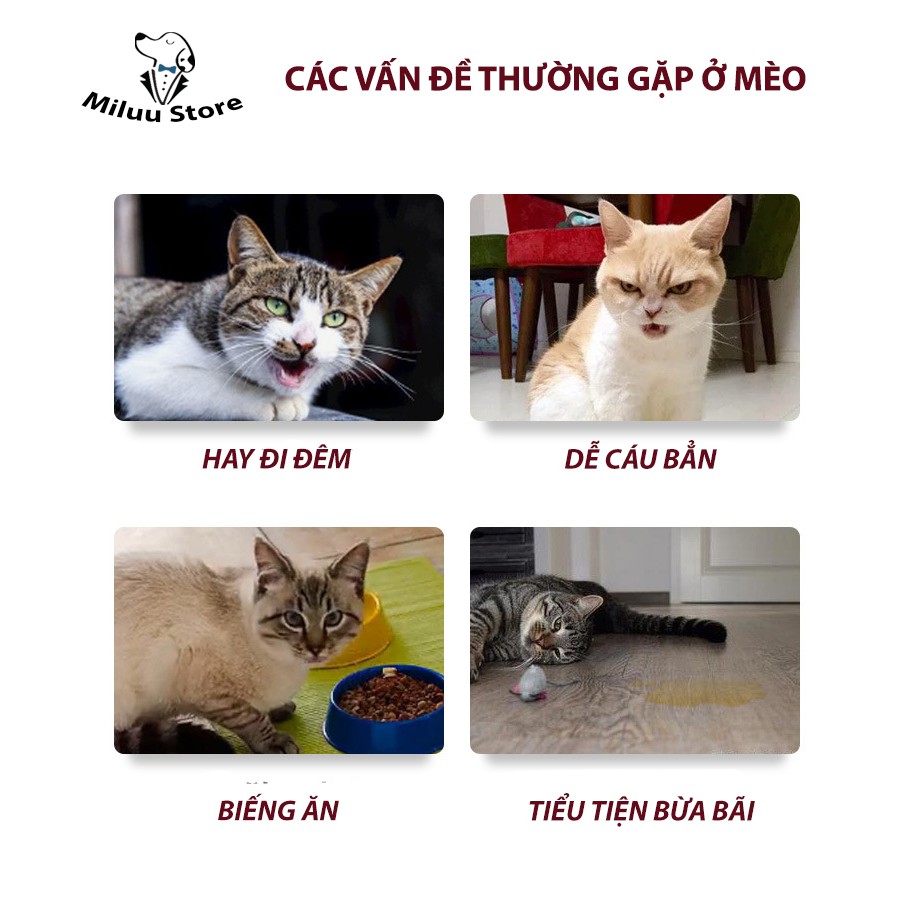 Bột an thần cho mèo, bột kiểm soát cơn động dục của thú cưng