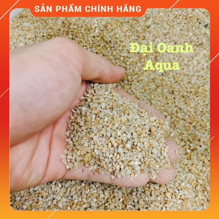 500gram Sỏi Nắng Vàng Trang Trí Bể Cá Cảnh-Trải nền bể cá-Tiểu cảnh