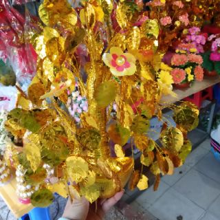 Cây cành vàng lá ngọc